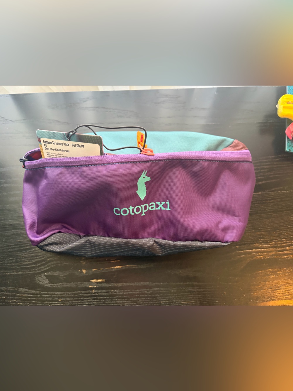 cotopaxi Del Dia Bataan Waist or Crossbody Pack NWT